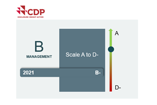 Scale rating CDP